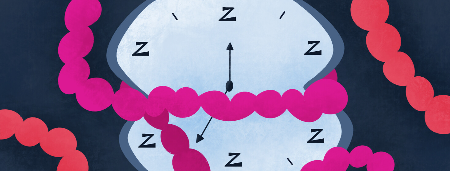 intestines strangling a circadian rhythm clock