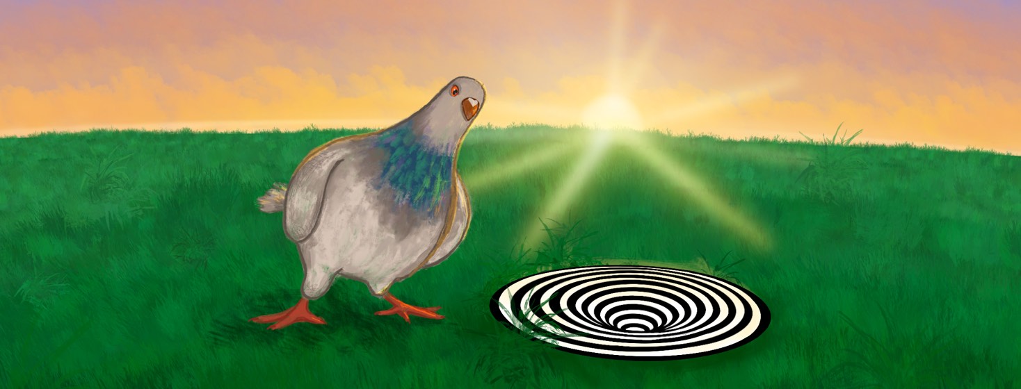 A bird looking with confusion into a spiraling hypnotic hole, in front of an early sunrise setting.