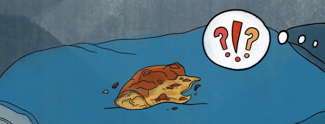 A half-eaten slice of pizza sitting on a pillow with a thought bubble above showing question marks and an exclamation mark